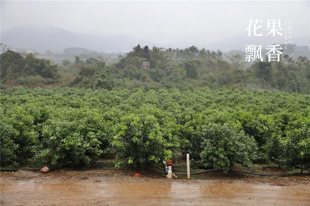 种地真的不容易一分耕耘一分收获,种地真的不容易钱难挣
