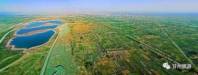 惠惠惠惠,惠惠惠惠惠惠子