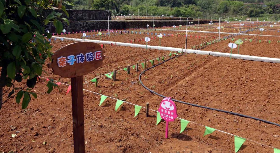 一起去瓶窑“拿块地”！古城旁，南山下，50个平方200元......