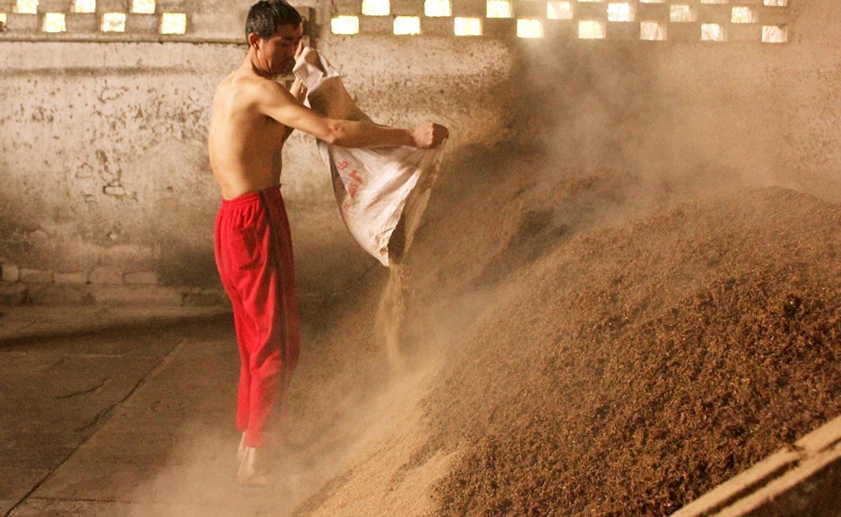 五粮正宗子均邓公液——致敬生活：你孤独的一生，繁花似锦