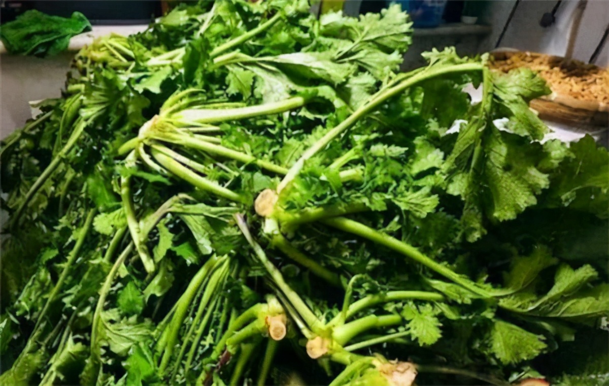 蔬菜腌制成咸菜还有维生素,腌制菜会让人便秘吗