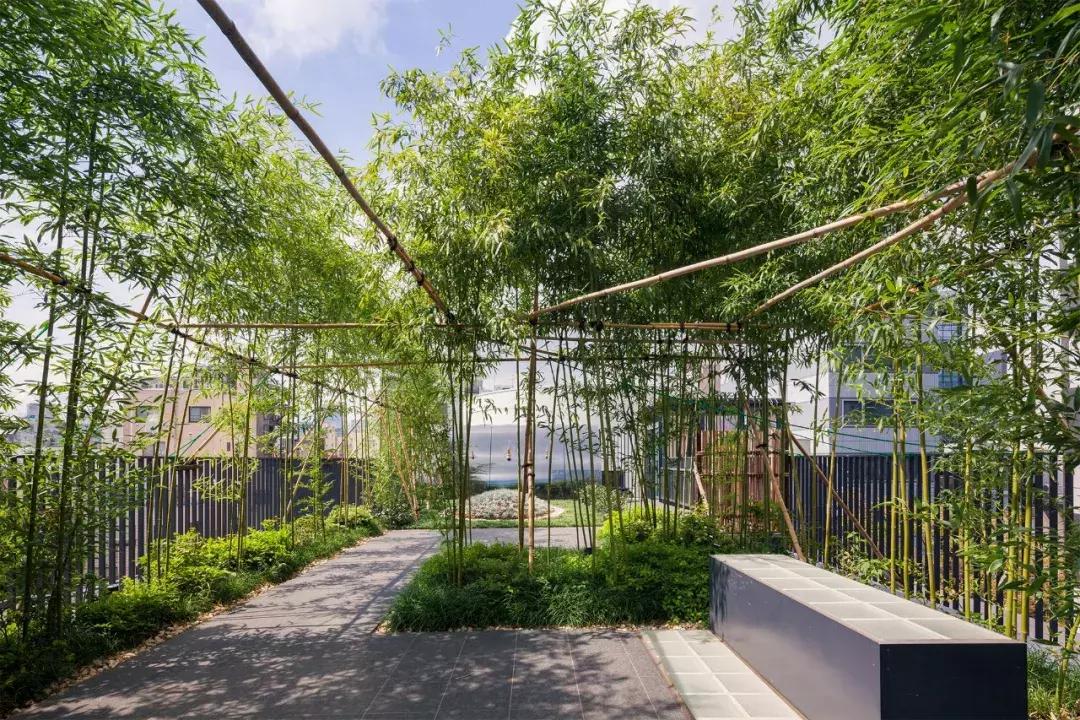 最神奇的寺庙,建在闹市的寺庙