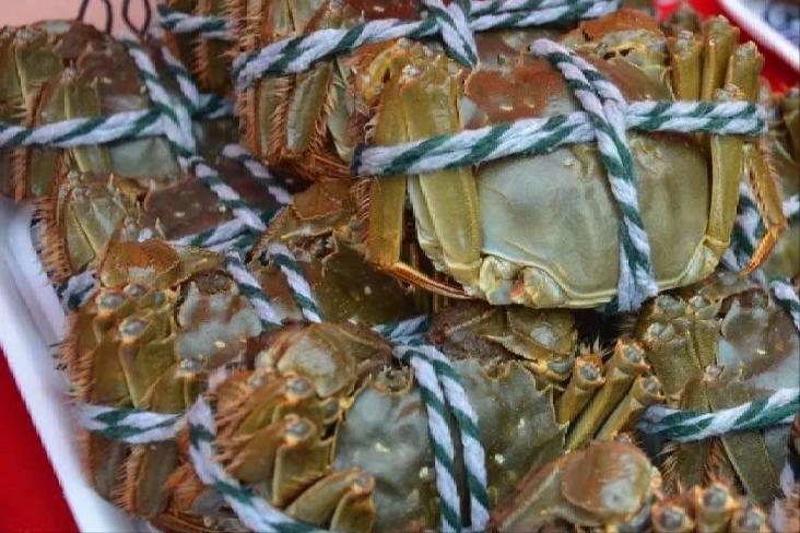 螃蟹哪个地区的最好吃,中国的螃蟹有多少种哪种最好吃