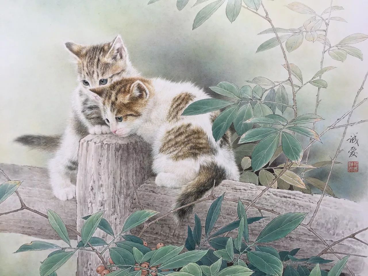 邢诚爱工笔画猫的图片,邢诚爱工笔画猫兔子高清大图