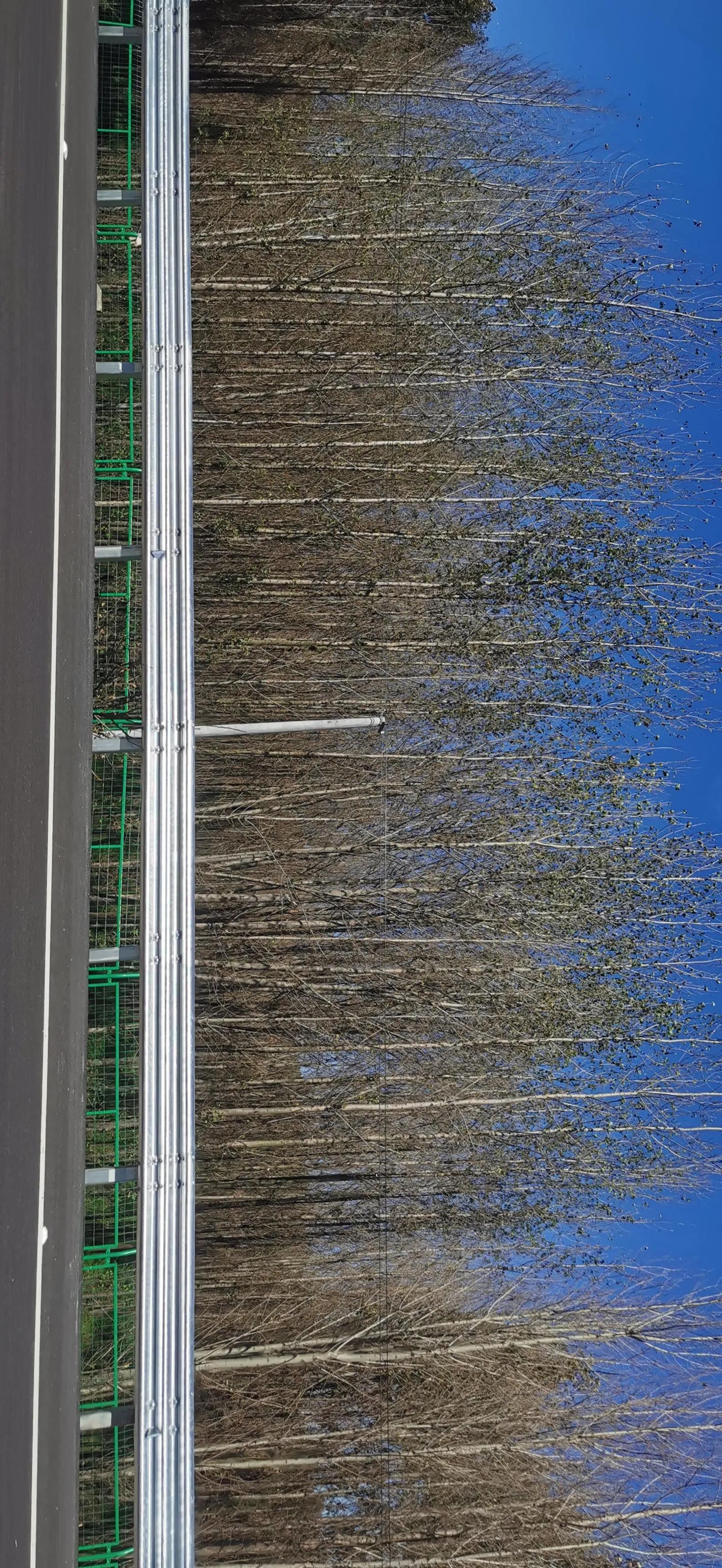 泡温泉泡澡的好处,泡温泉能缓解心慌吗