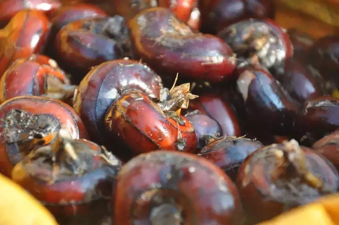 如皋本地人吃的美食,如皋当地美食