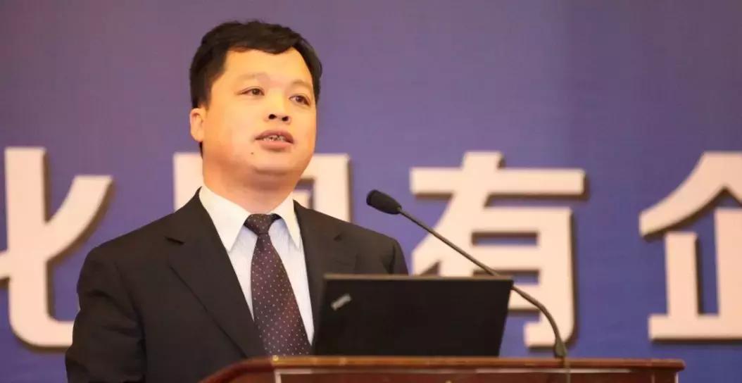 贵州绿色农产品何以风行天下?从毕节一颗萝卜出口迪拜的跨国之旅说起~