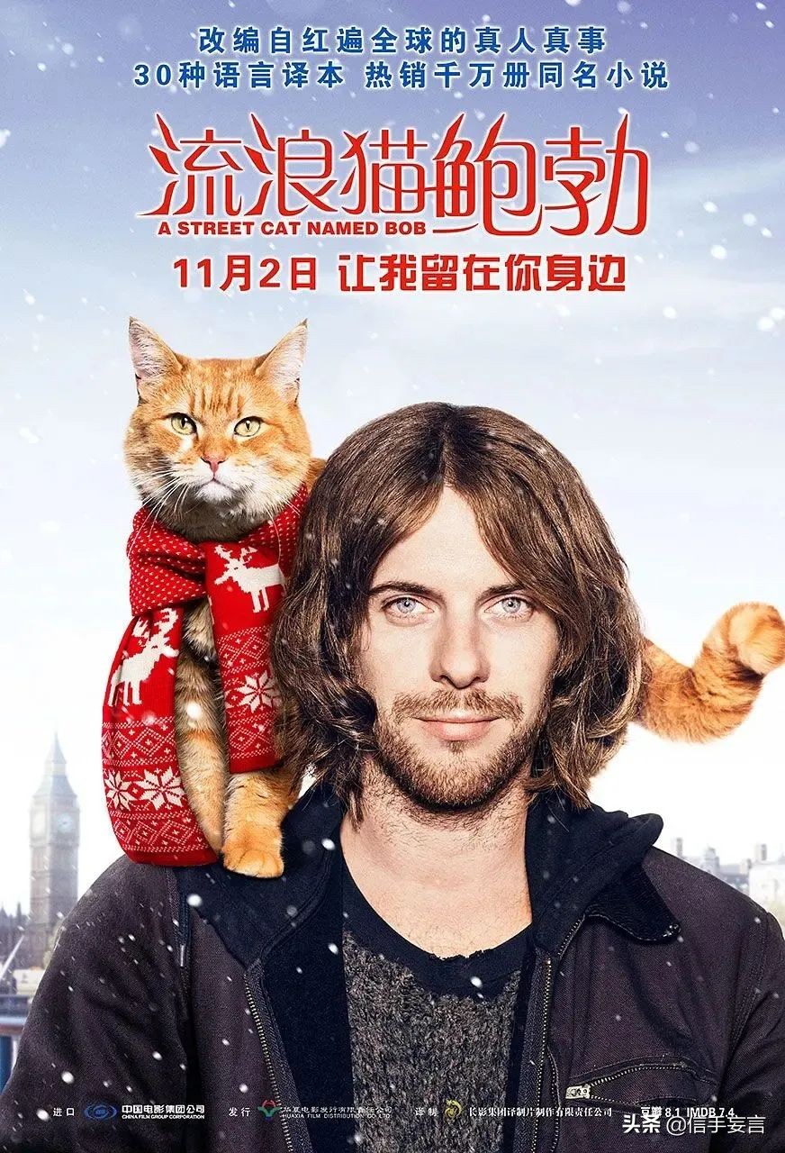 周末推荐电影2021,周末电影推荐冒险