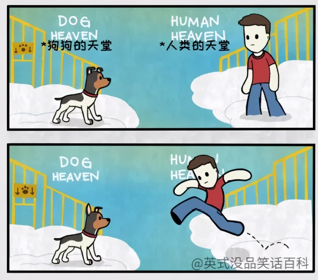 猫和铲屎官漫画全集,铲屎官和狗子的漫画