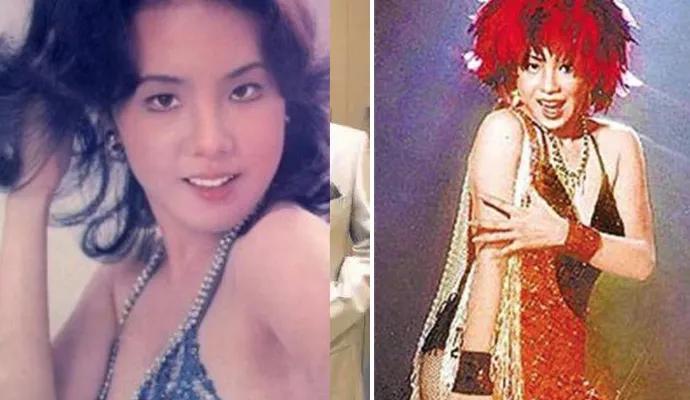 费玉清有多受欢迎,费玉清以后的生活