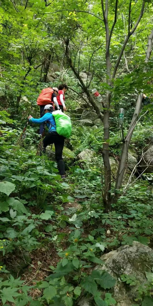 徒步老君山,徒步老君山教学