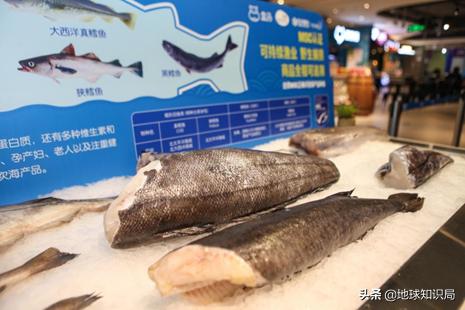 进口商品食品展,进博会的中国进口商品