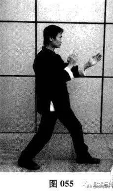 咏春八手招式完整版,咏春八手林正英完整版