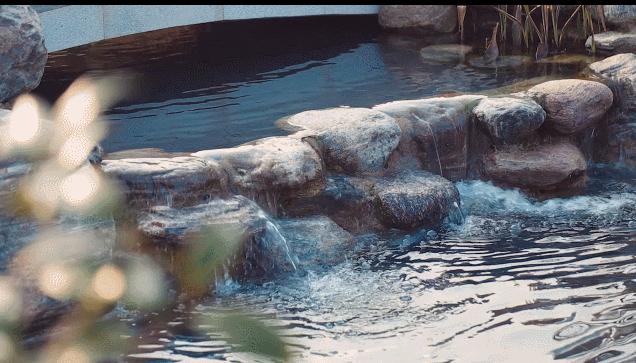 南阳防爆厂碧桂园什么时候开盘,南阳碧桂园项目有哪些