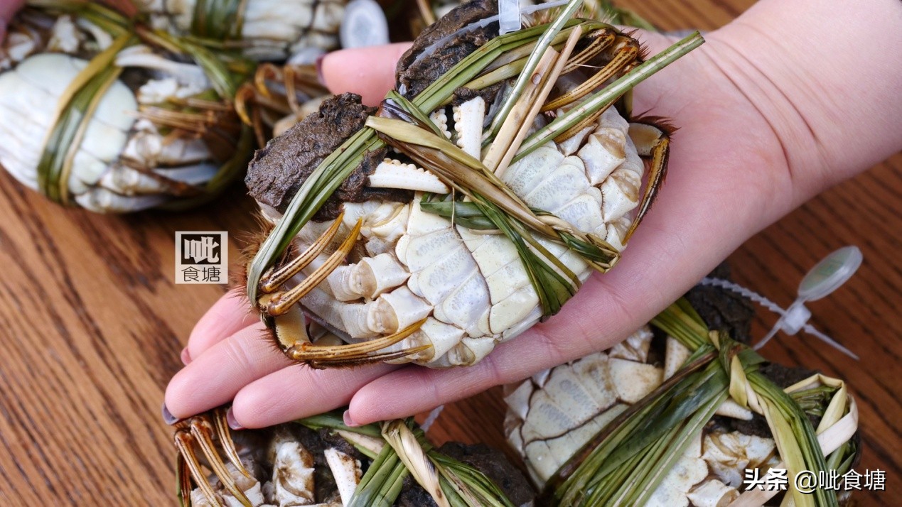 秋天肥美的大闸蟹,大闸蟹哪个季节最好吃最肥美