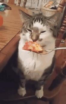 奇葩新闻大全爆笑合集,各种奇葩新闻笑死人