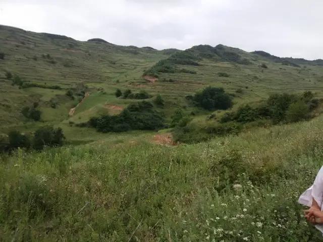 乡情散文/故乡的古井