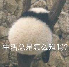 科学表明体毛真的会越刮越少吗,身上的体毛会越刮越多吗