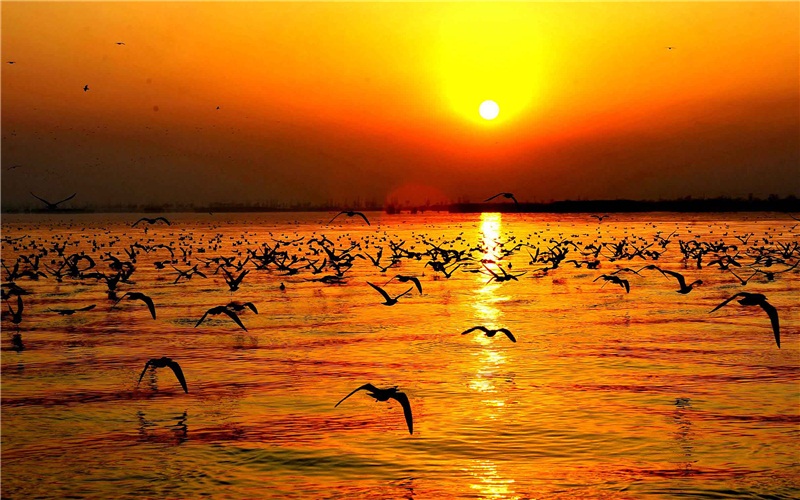 2021浜戝崡鍗佸ぇ鍚嶅搧,浜戝崡鍗佸ぇ鍚嶅搧