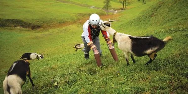 “请给我不再做人类的权利