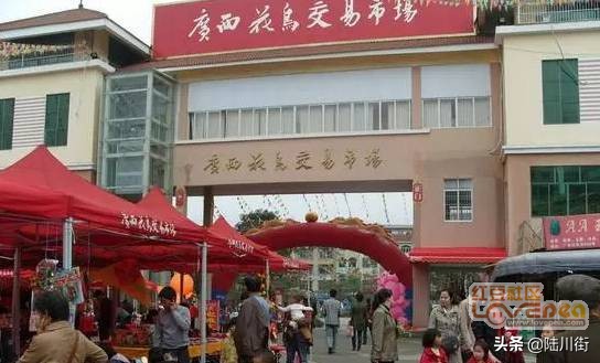 他们号称“广西温州人”,涉足行业已渗透70%，原来玉林人那么牛