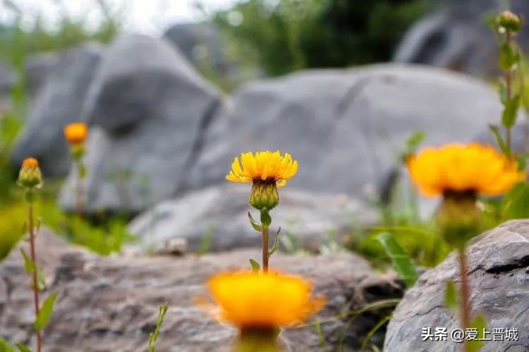 晋城有个啥山,晋城有什么山有名