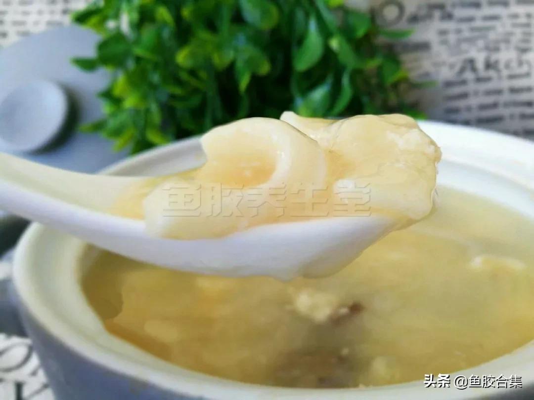 鱼胶花胶最简单做法,这些顶级花胶鱼胶你了解多少