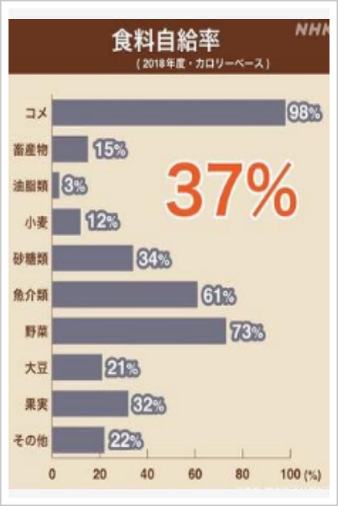 天价日本一个甜瓜拍出8万人民币,一个西瓜在日本卖多少人民币