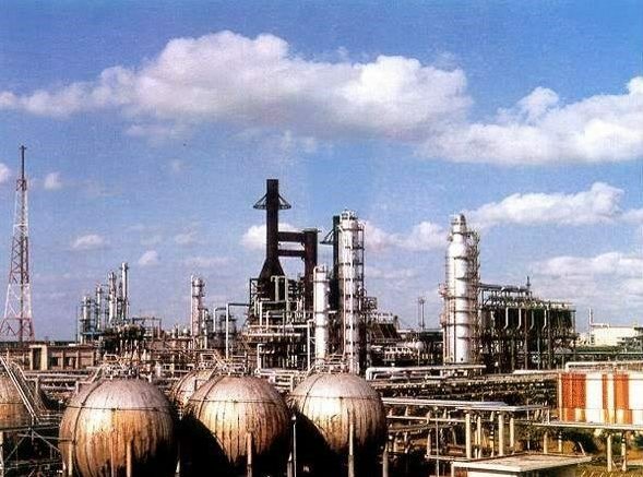 两只老鼠引发的间谍大案,两只老鼠引出的特大间谍案