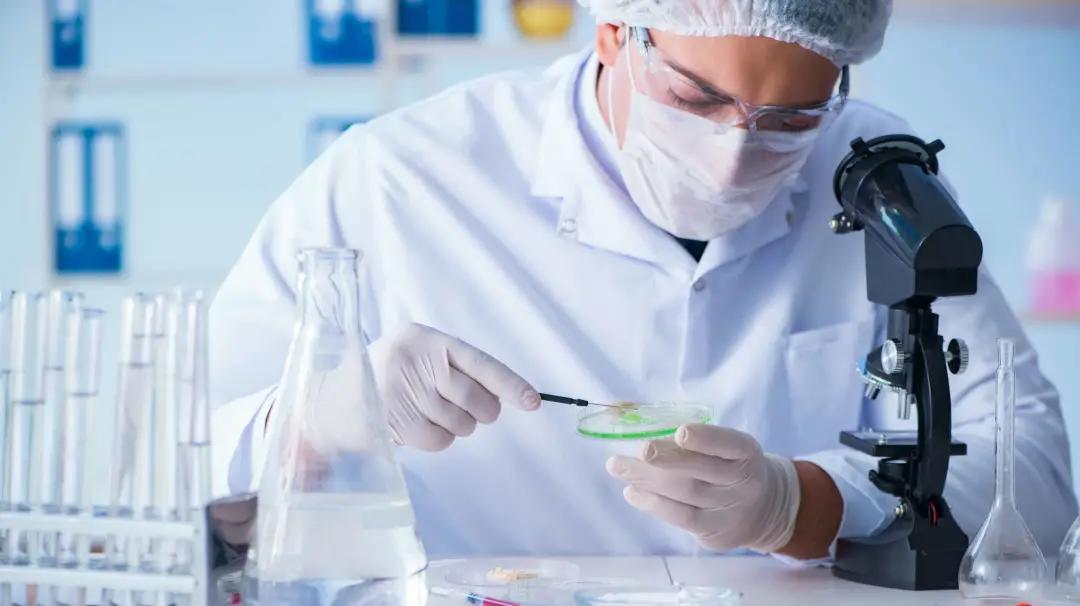 粪便也是救命粮,粪便真的能入药吗