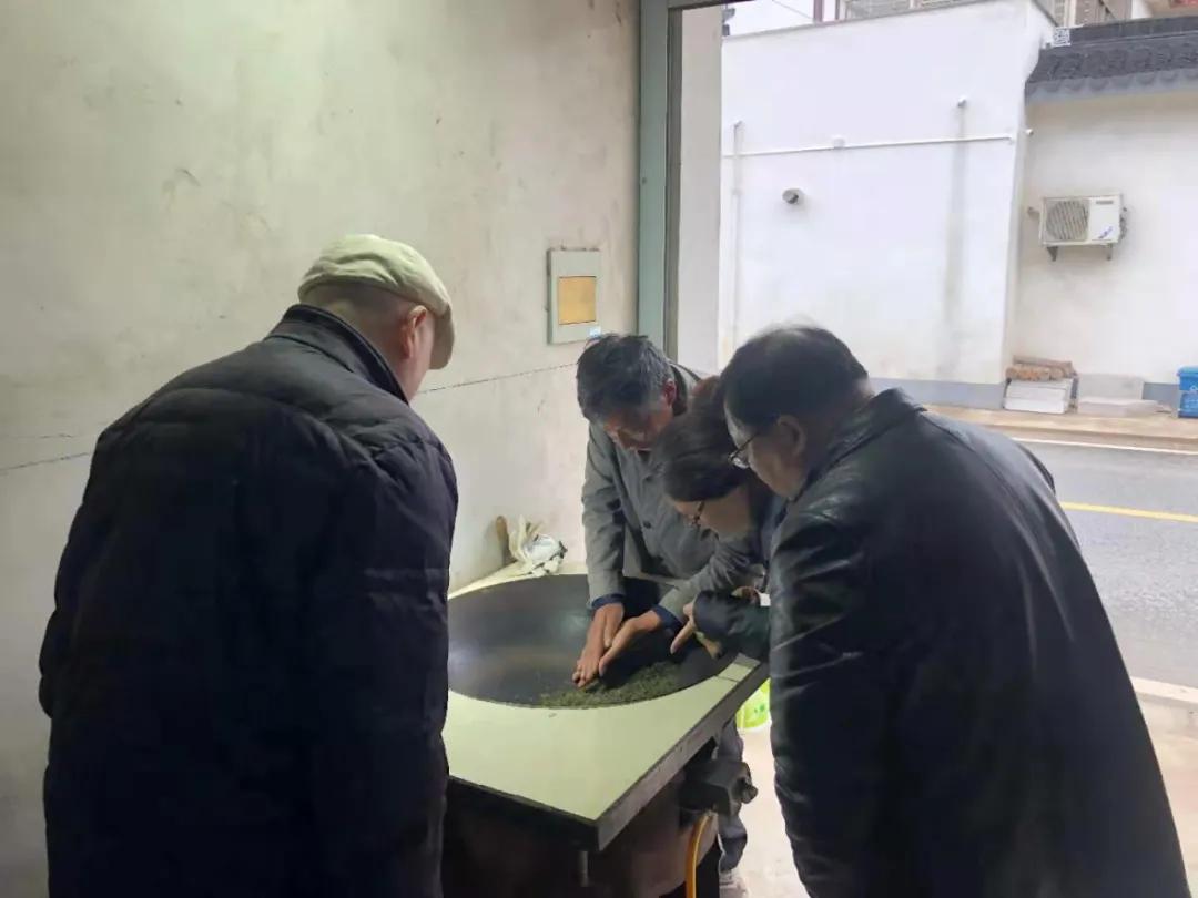 苏州东山碧螺春品尝,高端苏州洞庭山碧螺春