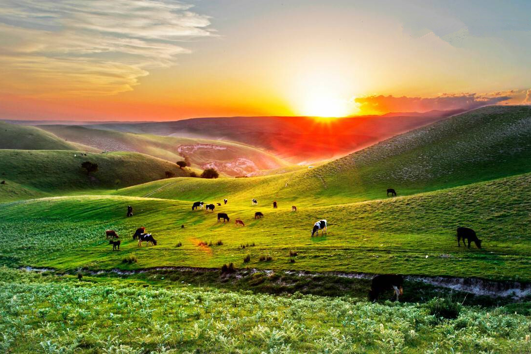 内蒙古气候最宜人适合养老的旗县,内蒙古哪个地方气候适合养老