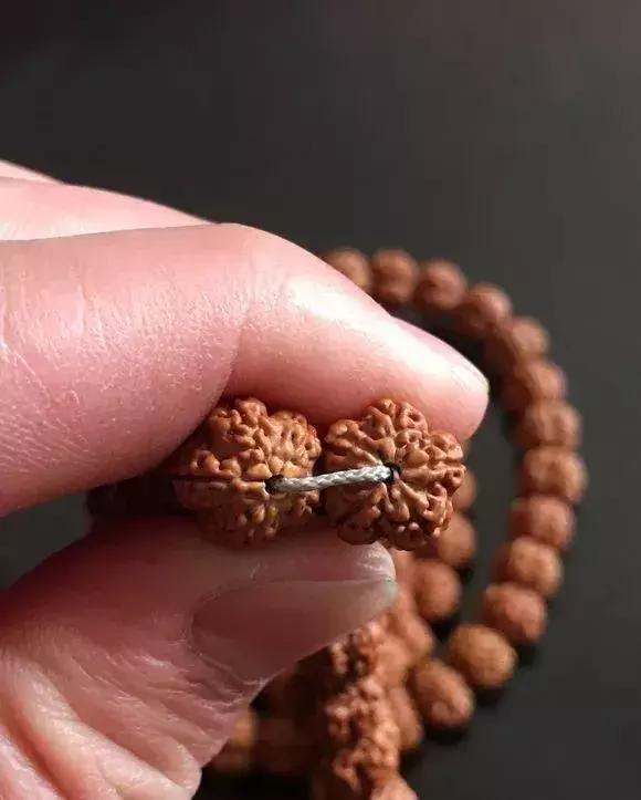 金刚贵贱区别,金刚菩提多久能红