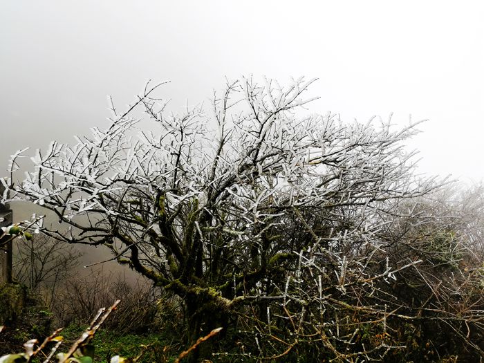 雨中的梵净山景色,烟雨梵净山