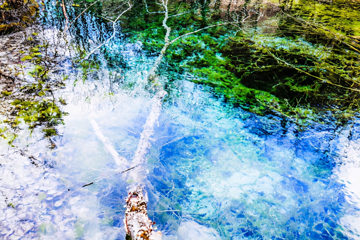 九寨沟最美的一处景点,九寨沟风景区好山好水好风光
