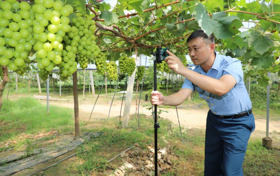 杨凌退役军人,杨凌退伍军人创业政策