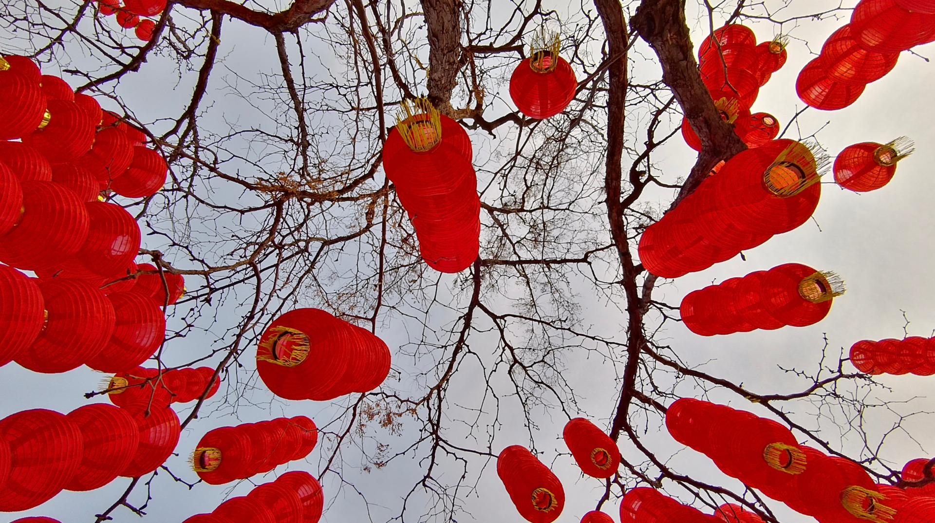 抖音防抖拍摄设备,抖音专用摄像机推荐