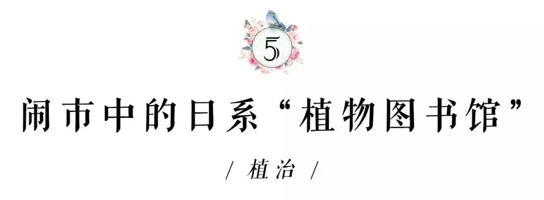 在花园里和鲜花为伴,在花店与鲜花为伴