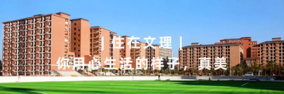 报读专业方向,广东文理职业学院有什么专业