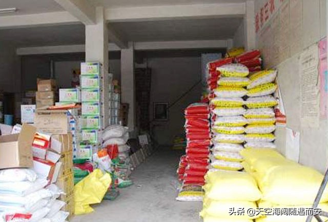 种100亩玉米利润多大,在农村种100多亩玉米能卖多少钱