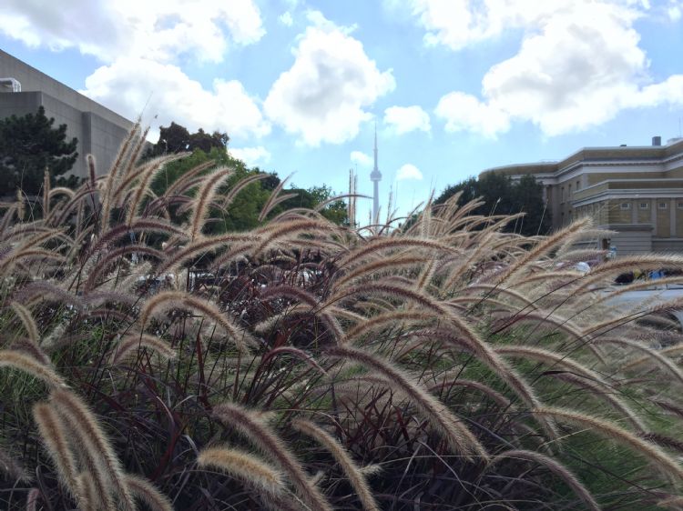 圣弗朗西斯泽维尔大学读研怎么样,圣弗朗西斯泽维尔大学就读条件