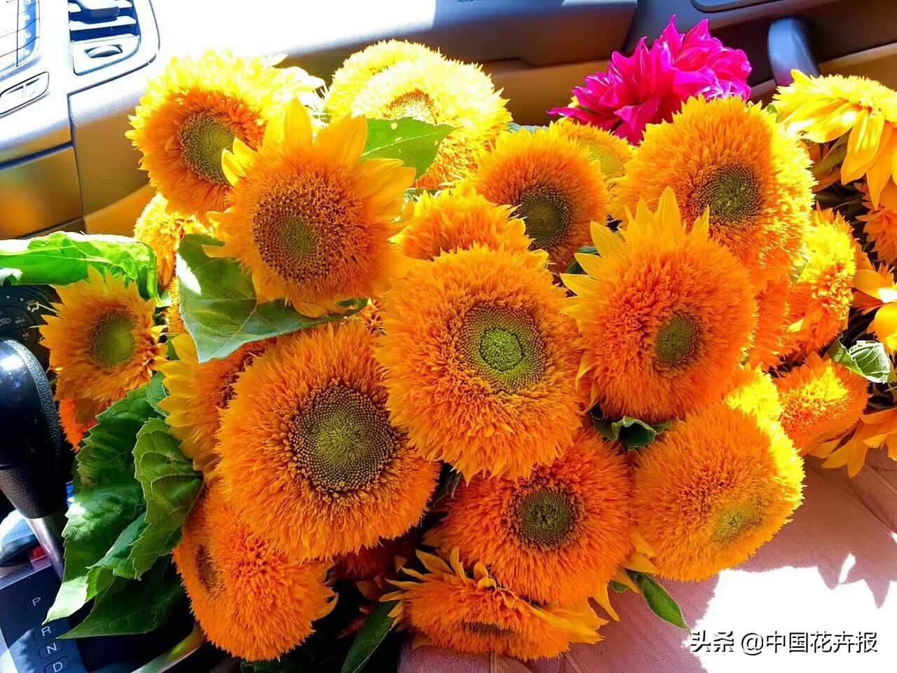 父亲节来了给爸爸买点啥,父亲节来了要给爸爸送些什么呢