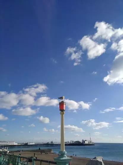 假期撒手没的戏精同事们,竟然在我挤春运的时候吹海风??(下)