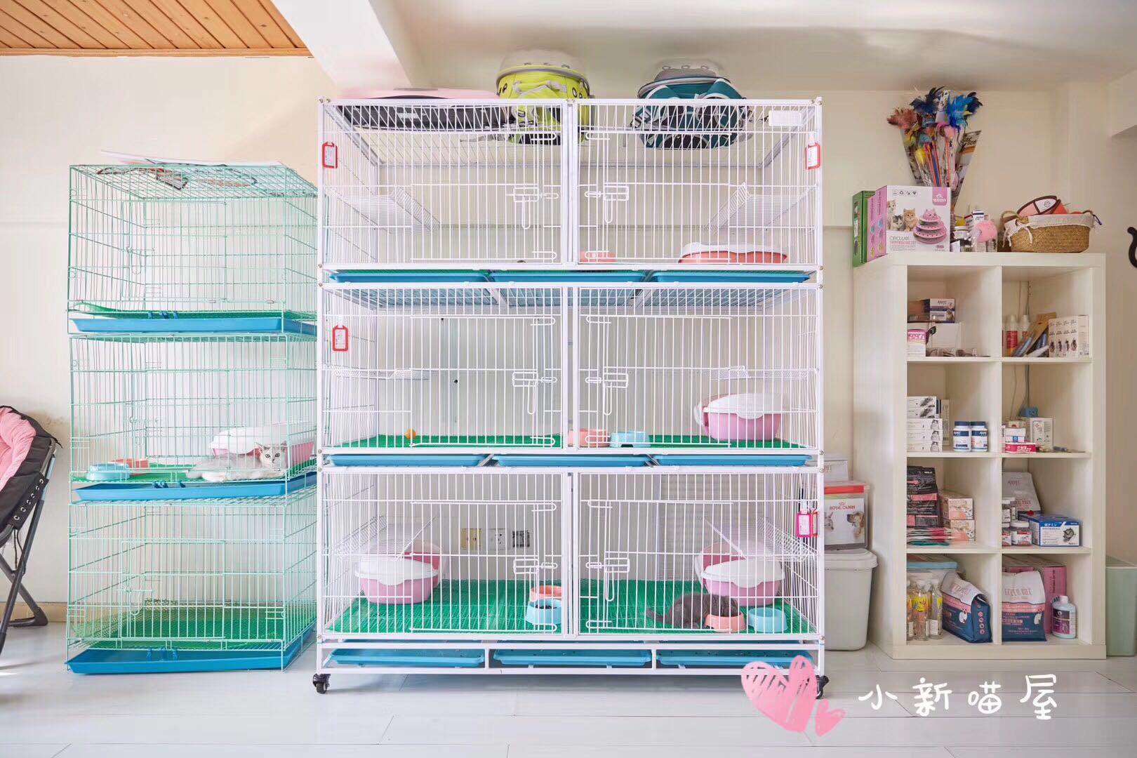 怎样避免买到星期猫,怎么判断是不是买到了星期猫