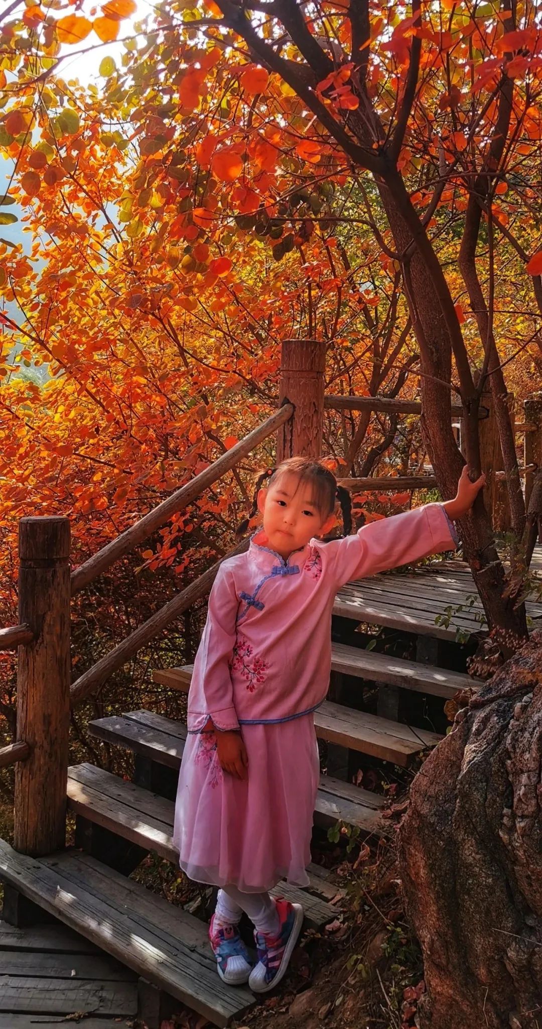 九如山冬日旅游,九如山旅游攻略一日游春季