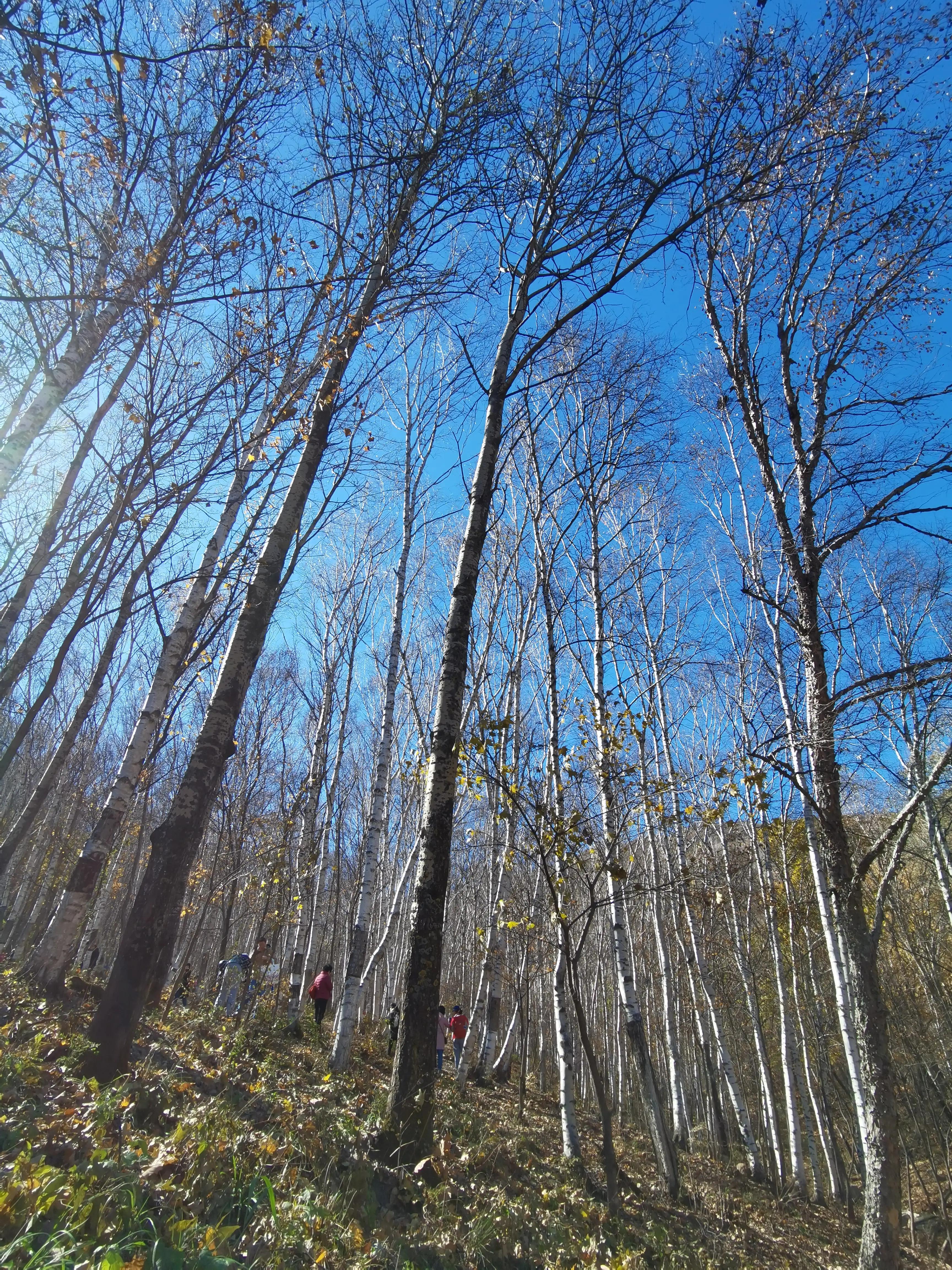 怀柔喇叭沟门原始森林2日自驾游,怀柔喇叭沟门原始森林骑行