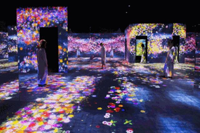 高新万科活动时间,高新万科优势