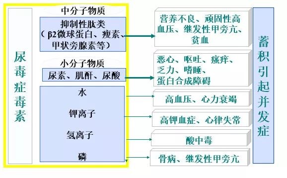 到底是透析好还是换肾好,到底血透好还是腹膜透析好