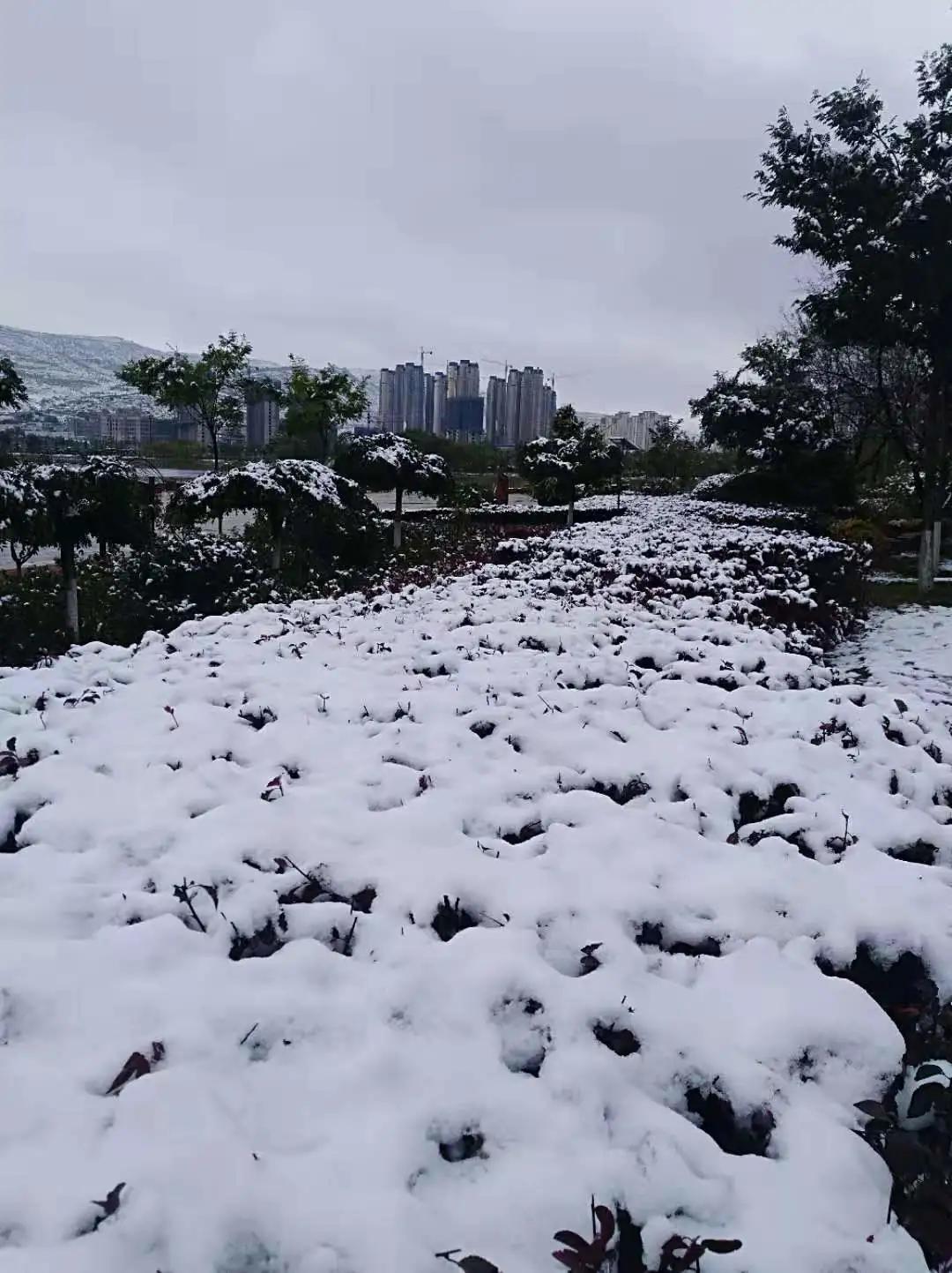 平凉崆峒区四路车现在停运了吗,平凉长途客车停运了吗
