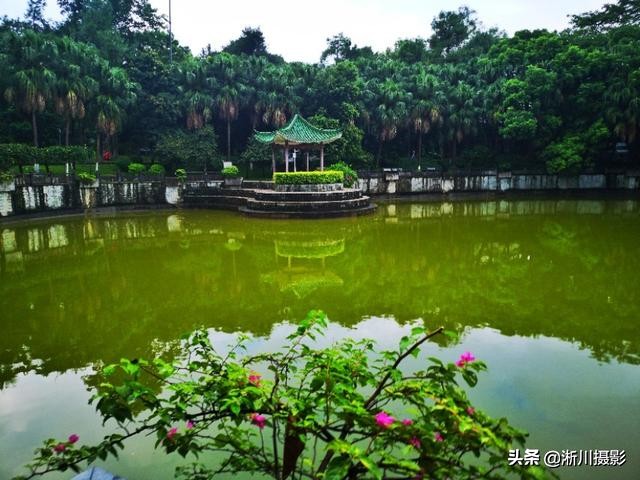 中国最美丽的校园照片,中国最美丽的校园中山大学南校区